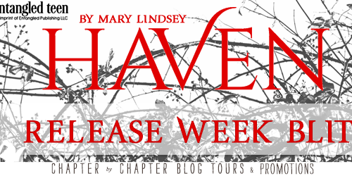 Blog Tour: Haven by Mary Lindsay