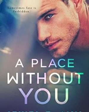 A place without you by Jewel E. Ann